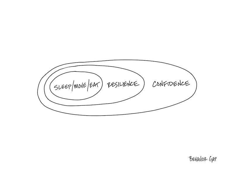 Carl Richards Behavior Gap Confidence Resilience Sleep
