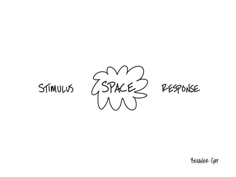 Carl Richards Behavior Gap Stimulus Response