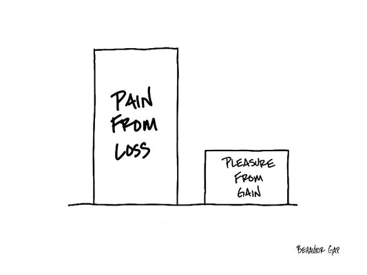 Carl Richards Behavior Gap The Overnight Test